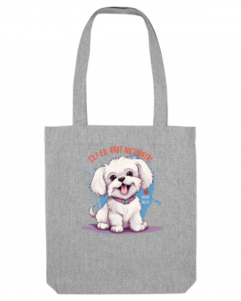 CE? EU, RAU? NICIODATA! - BICHON MALTEZ Heather Grey