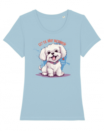 CE? EU, RAU? NICIODATA! - BICHON MALTEZ Sky Blue