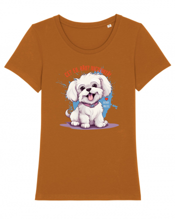 CE? EU, RAU? NICIODATA! - BICHON MALTEZ Roasted Orange