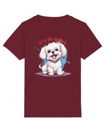 CE? EU, RAU? NICIODATA! - BICHON MALTEZ Burgundy