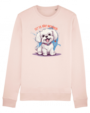 CE? EU, RAU? NICIODATA! - BICHON MALTEZ Candy Pink