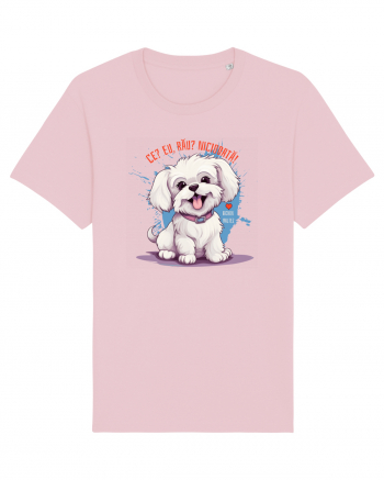 CE? EU, RAU? NICIODATA! - BICHON MALTEZ Cotton Pink