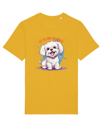 CE? EU, RAU? NICIODATA! - BICHON MALTEZ Spectra Yellow