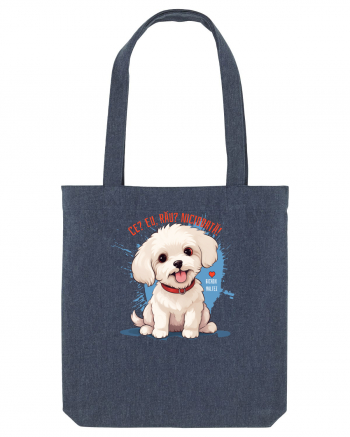 CE? EU, RAU? NICIODATA! - BICHON MALTEZ 2 Midnight Blue