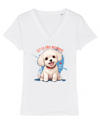 CE? EU, RAU? NICIODATA! - BICHON MALTEZ 2 White