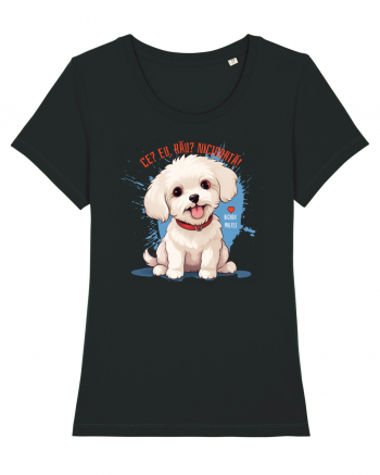 CE? EU, RAU? NICIODATA! - BICHON MALTEZ 2 Black