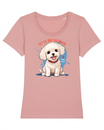 CE? EU, RAU? NICIODATA! - BICHON MALTEZ 2 Canyon Pink