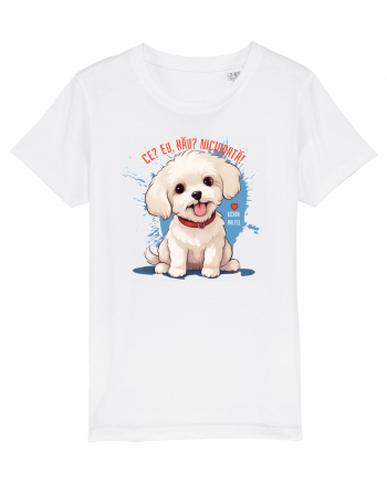 CE? EU, RAU? NICIODATA! - BICHON MALTEZ 2 White