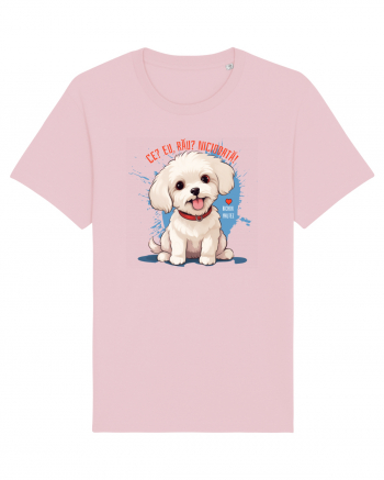 CE? EU, RAU? NICIODATA! - BICHON MALTEZ 2 Cotton Pink