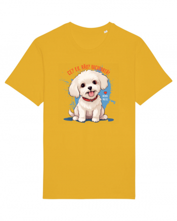 CE? EU, RAU? NICIODATA! - BICHON MALTEZ 2 Spectra Yellow