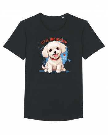 CE? EU, RAU? NICIODATA! - BICHON MALTEZ 2 Black