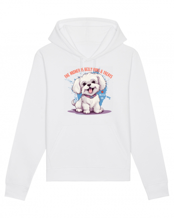 THE ANSWER IS BELLY RUBS & TREATS - Bichon White