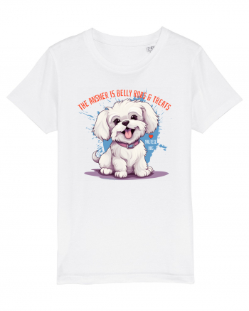 THE ANSWER IS BELLY RUBS & TREATS - Bichon White