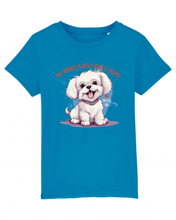 THE ANSWER IS BELLY RUBS & TREATS - Bichon Azur