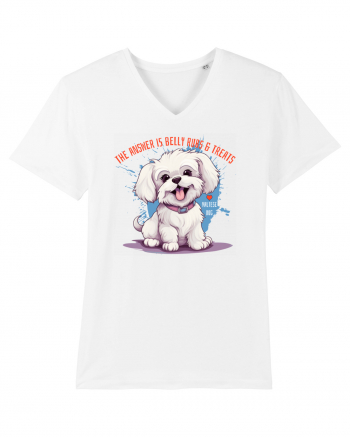 THE ANSWER IS BELLY RUBS & TREATS - Bichon White