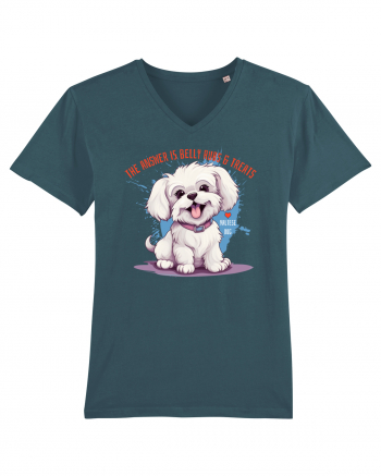 THE ANSWER IS BELLY RUBS & TREATS - Bichon Stargazer