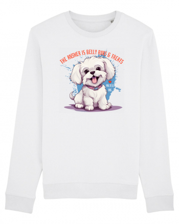 THE ANSWER IS BELLY RUBS & TREATS - Bichon White