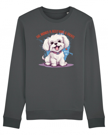 THE ANSWER IS BELLY RUBS & TREATS - Bichon Anthracite