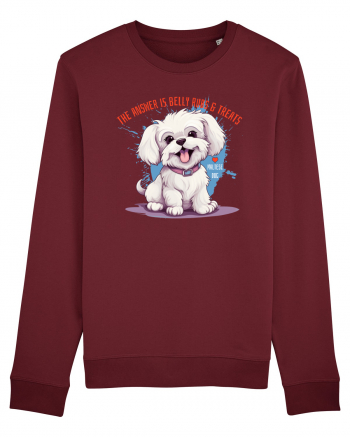 THE ANSWER IS BELLY RUBS & TREATS - Bichon Burgundy