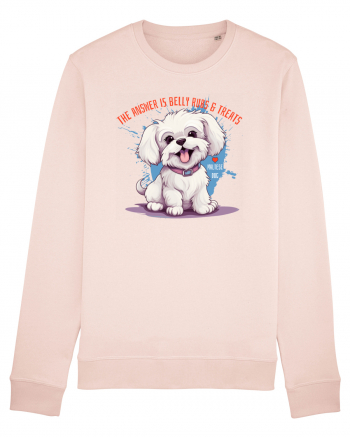 THE ANSWER IS BELLY RUBS & TREATS - Bichon Candy Pink