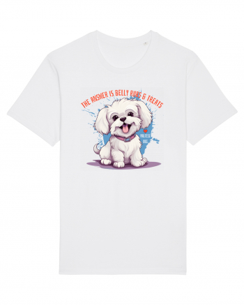 THE ANSWER IS BELLY RUBS & TREATS - Bichon White