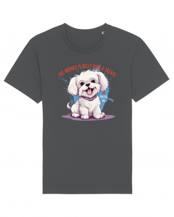 THE ANSWER IS BELLY RUBS & TREATS - Bichon Anthracite