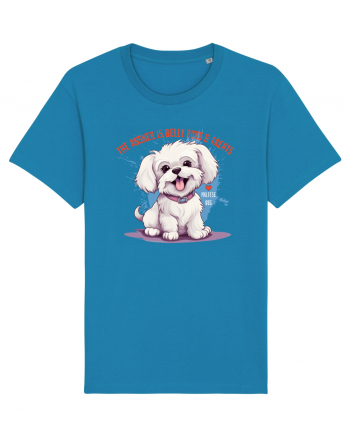 THE ANSWER IS BELLY RUBS & TREATS - Bichon Azur