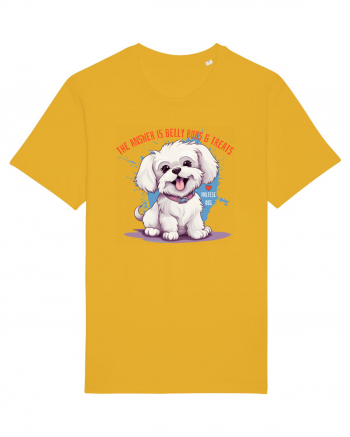 THE ANSWER IS BELLY RUBS & TREATS - Bichon Spectra Yellow