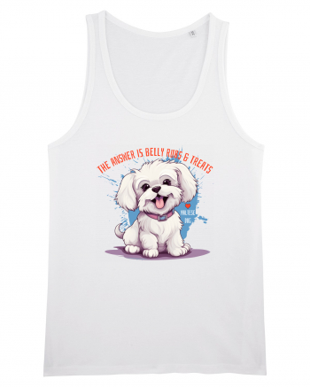 THE ANSWER IS BELLY RUBS & TREATS - Bichon White