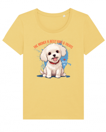 THE ANSWER IS BELLY RUBS & TREATS 2 - Bichon Jojoba