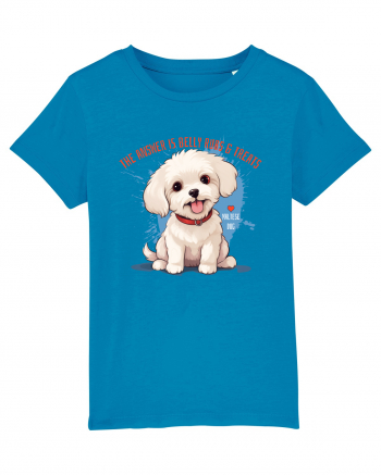 THE ANSWER IS BELLY RUBS & TREATS 2 - Bichon Azur