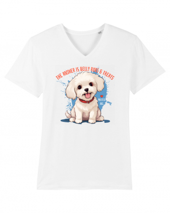 THE ANSWER IS BELLY RUBS & TREATS 2 - Bichon White