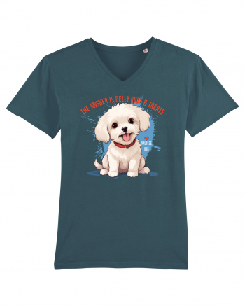 THE ANSWER IS BELLY RUBS & TREATS 2 - Bichon Stargazer