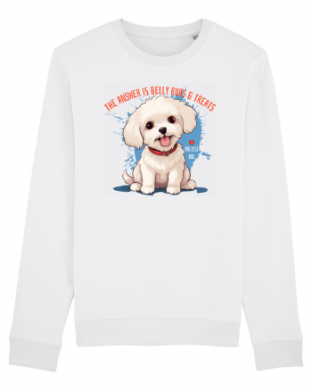 THE ANSWER IS BELLY RUBS & TREATS 2 - Bichon White