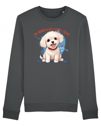 THE ANSWER IS BELLY RUBS & TREATS 2 - Bichon Anthracite