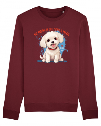 THE ANSWER IS BELLY RUBS & TREATS 2 - Bichon Burgundy