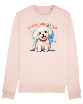 THE ANSWER IS BELLY RUBS & TREATS 2 - Bichon Candy Pink