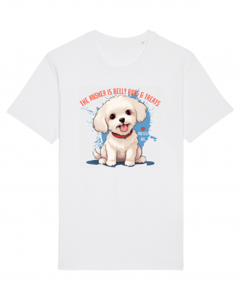 THE ANSWER IS BELLY RUBS & TREATS 2 - Bichon White