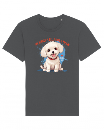 THE ANSWER IS BELLY RUBS & TREATS 2 - Bichon Anthracite