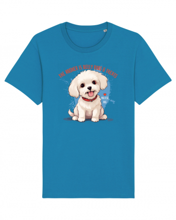 THE ANSWER IS BELLY RUBS & TREATS 2 - Bichon Azur