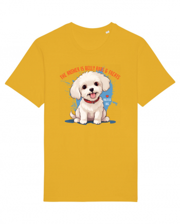 THE ANSWER IS BELLY RUBS & TREATS 2 - Bichon Spectra Yellow