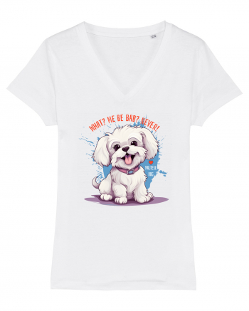 WHAT? ME BE BAD? NEVER! - Bichon White