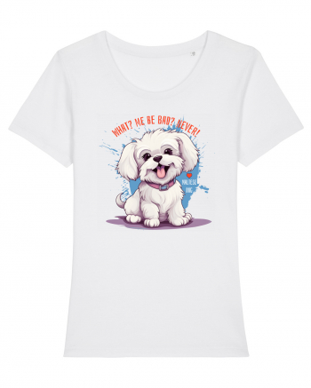 WHAT? ME BE BAD? NEVER! - Bichon White