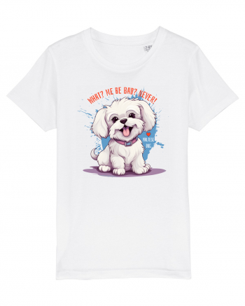 WHAT? ME BE BAD? NEVER! - Bichon White