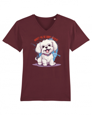 WHAT? ME BE BAD? NEVER! - Bichon Burgundy