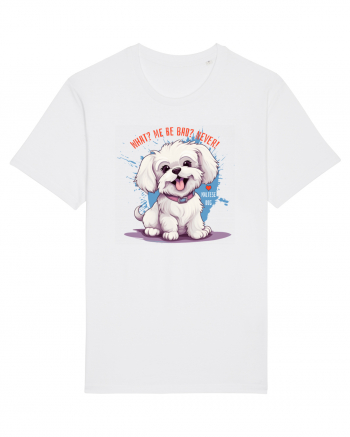 WHAT? ME BE BAD? NEVER! - Bichon White