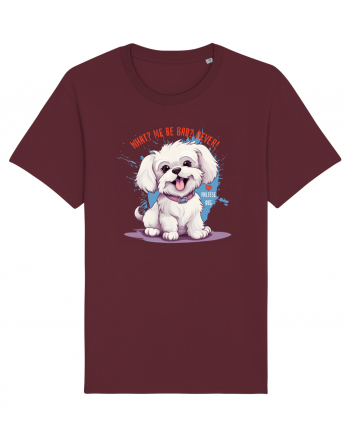 WHAT? ME BE BAD? NEVER! - Bichon Burgundy