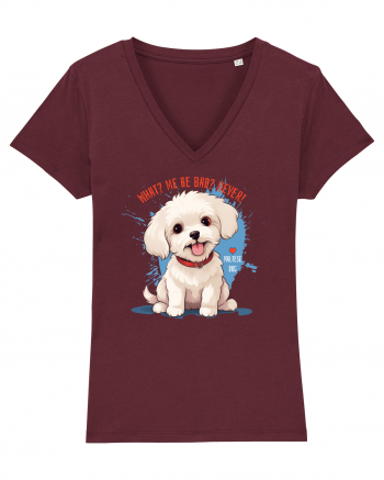 WHAT? ME BE BAD? NEVER! 2 - Bichon Burgundy