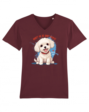 WHAT? ME BE BAD? NEVER! 2 - Bichon Burgundy