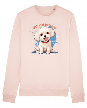 WHAT? ME BE BAD? NEVER! 2 - Bichon Candy Pink